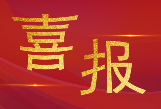 喜报|ayx·爱游戏荣获2024年度中国电工技术学会科技进步奖
